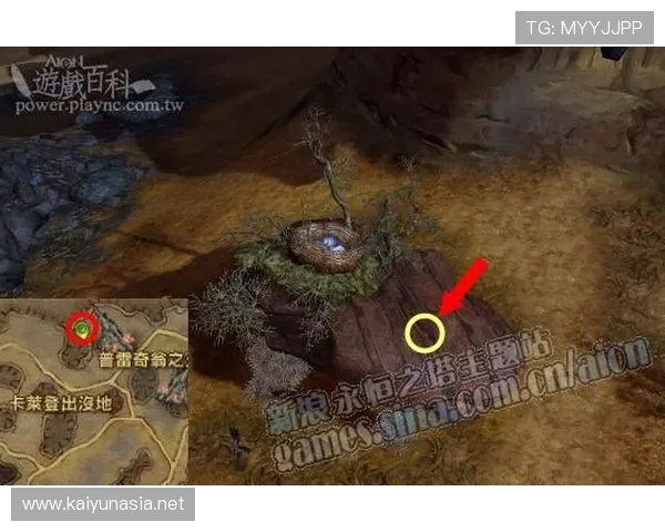 开云app注册登录流程详解以及常见问题解决方案帮助新手快速上手游戏 开云app注册登录流程详解以及常见问题解决方案帮助新手快速上手游戏